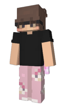 Minecraft skin divisa