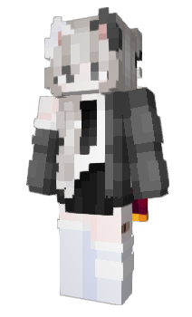 Minecraft skin Passati