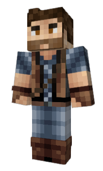 Minecraft skin Hisense