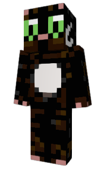 Minecraft skin Hesrt