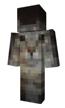Minecraft скин по нику Tenfuki