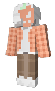 Minecraft skin coinflip