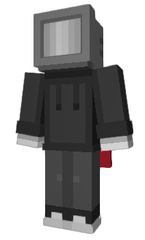 Minecraft skin Wordin