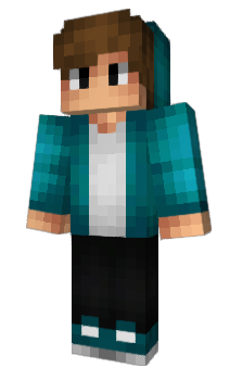 Minecraft skin FleetPlay