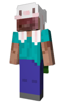 Minecraft skin allmp