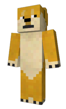 Minecraft skin ASWW