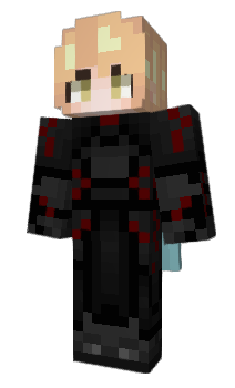 Minecraft skin DragonWard