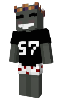 Minecraft skin satq