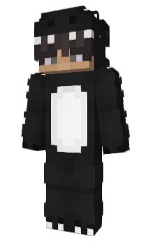 Minecraft skin RaSkOlNi