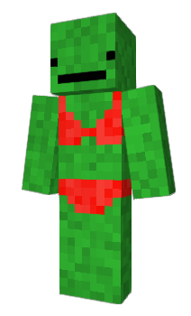 Minecraft skin RoyalDutchShell