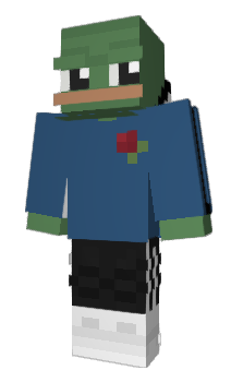 Minecraft skin Capa22