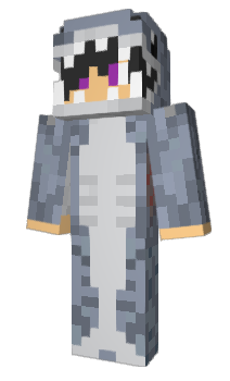 Minecraft скин по нику hpkl