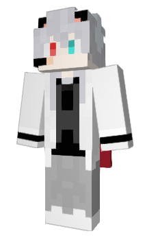 Minecraft skin StrayJ