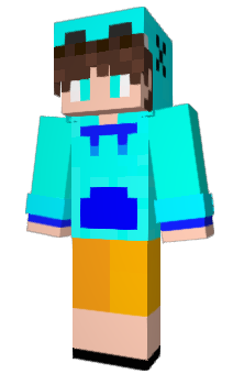 Minecraft skin Wadinha