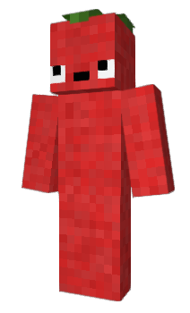 Minecraft skin CraZArt