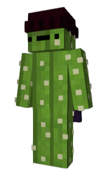Minecraft скин по нику zn4k