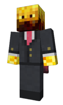Minecraft skin Vectur
