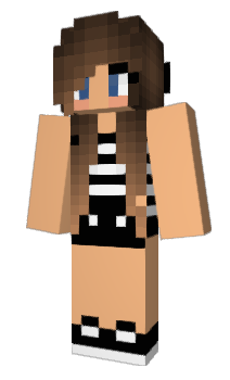 Minecraft skin boren