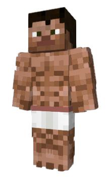 Minecraft skin FreeToPlay