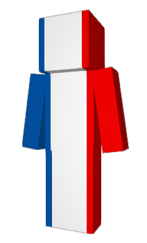 Minecraft скін по ніку frenchflag