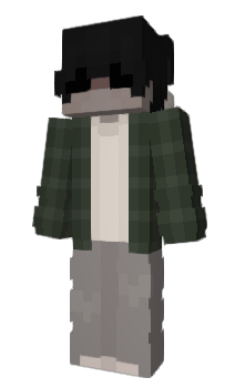 Minecraft skin winte