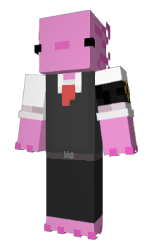 Minecraft skin PortaG