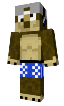 Minecraft skin Bricoli