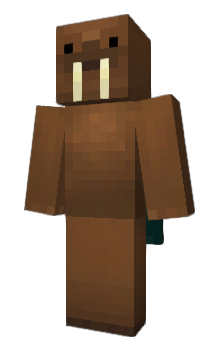 Minecraft skin Benjazor