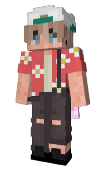 Minecraft skin PandaOk