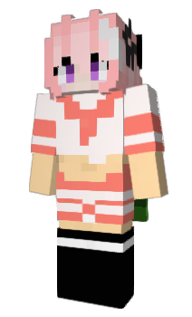 Minecraft skin CRAFT1N