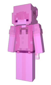 Minecraft skin seorr