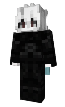 Minecraft skin Shinnerr