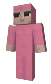 Minecraft skin erguncan