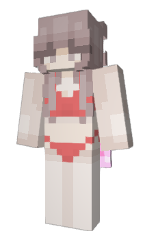 Minecraft skin JerBick