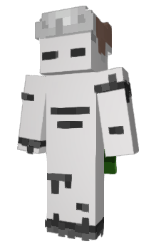 Minecraft skin Amey4Amey