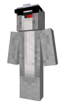 Minecraft skin RJLE