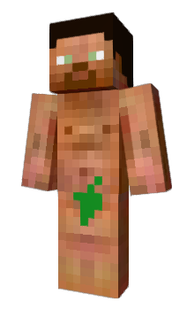 Minecraft skin saiDINa