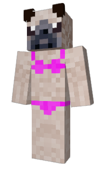 Minecraft skin aassf