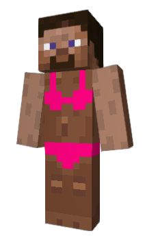 Minecraft skin Arayin