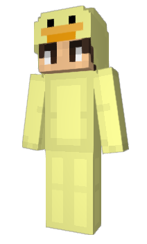 Minecraft skin Defans