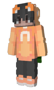 Minecraft skin InDone