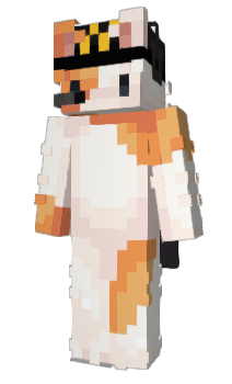 Minecraft скін по ніку 9611
