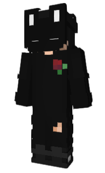 Minecraft skin Dresseres