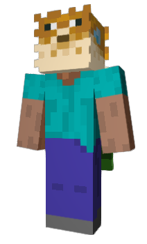 Minecraft skin allg