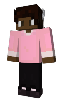 Minecraft skin TVHost