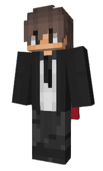 Minecraft skin rfbrnr