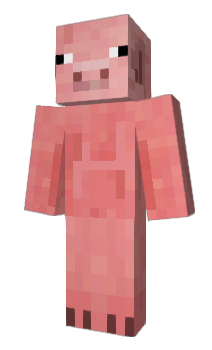 Minecraft skin BigPigg