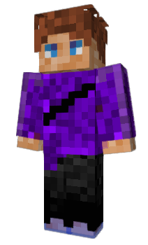 Minecraft skin paljon