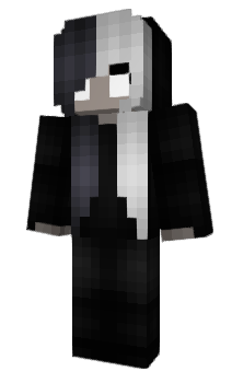 Minecraft skin kopje