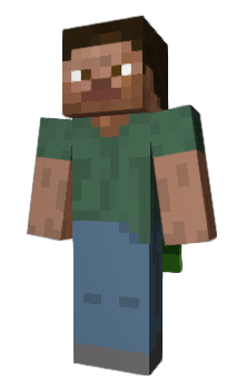 Minecraft skin PolaroidFilm